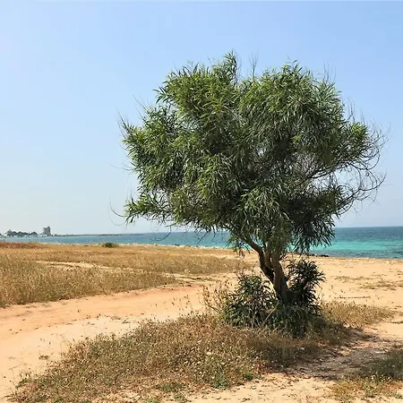 Ferienhaus Casa Biancospino Fronte Mare *